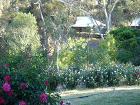 Watervale SA Accommodation NT