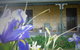 Robe House - thumb 5