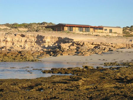 Tiliqua Sunrise - Accommodation NT 3