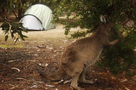 Western KI Caravan Park Cabins - Accommodation NT 2