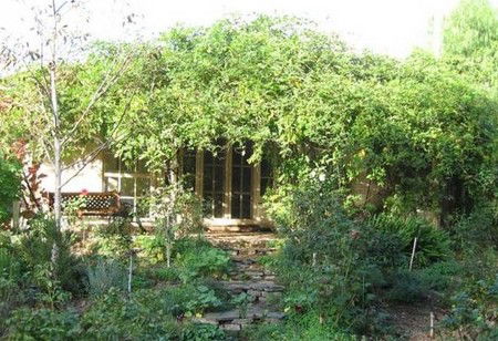 Lemontree Cottage - Accommodation NT 5