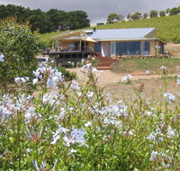 The Blue Grape Vineyard Accommodation - Accommodation NT