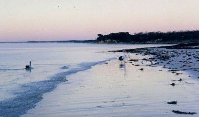 Destrees Bay SA Accommodation NT