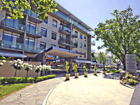 Sebel Launceston - The - Accommodation NT 0