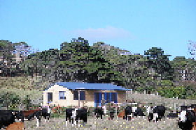 Marrawah Beach House - Accommodation NT 0