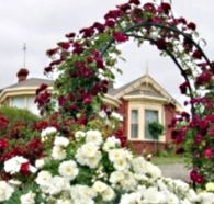 Golden Embers Apartments and B and B - Accommodation NT