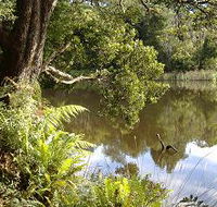 Weldborough Camping Ground - Accommodation NT