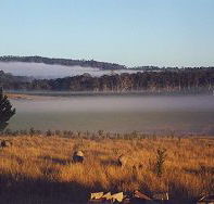 Fonthill - Accommodation NT