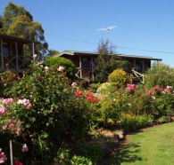 Mole Creek Holiday Village - Accommodation NT