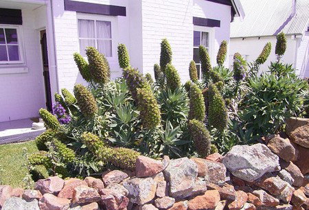 Lester Cottages Complex - Accommodation NT 2