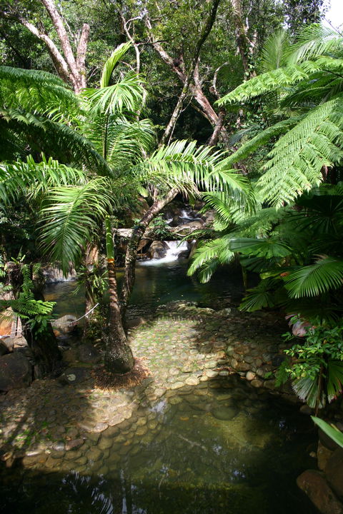 Daintree Secrets (Award Winning Retreat) - Accommodation NT 4