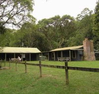 Tree Fern Lodge - Accommodation NT