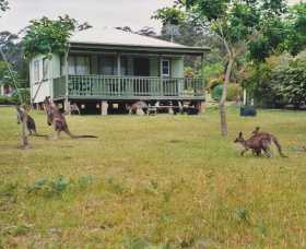 Berringer Lake Holiday Cottages - Accommodation NT 0