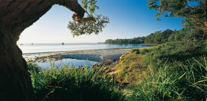 Dolphin Shores Motor Inn - Accommodation NT 2