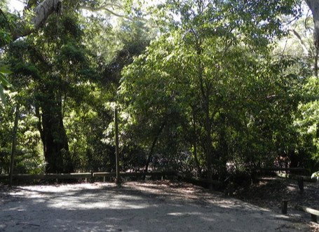 Booderee National Park: Green Patch Camping Area - NT Tourism 0