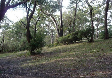 Booderee National Park: Green Patch Camping Area - NT Tourism 3