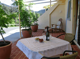 A View Of Mt Warning Bed And Breakfast - Accommodation NT 2