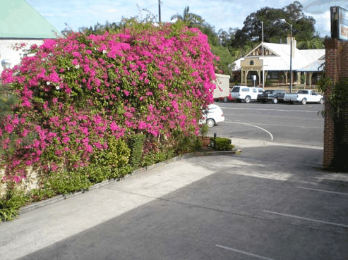 Mullumbimby Lyrebird Motel - thumb 2