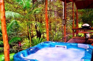 A Waterfall Hideout-Rainforest Cabin For Couples - Accommodation NT 5