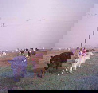 Seeview Farmstay - Accommodation NT