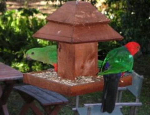 Chauvel Park B And B - Accommodation NT 2