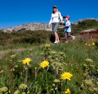 Horizons Apartment 407 - Accommodation NT