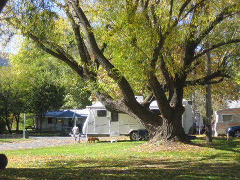 Tumbarumba Creek Caravan Park - Accommodation NT 0