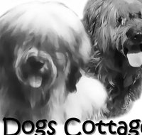 2 Dogs Cottages - Accommodation NT