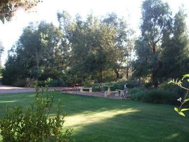 Wilga Park Cottage - Accommodation NT 4