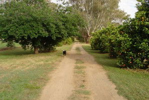Murray Bank Holiday Units And Yabby Farm - Accommodation NT 5