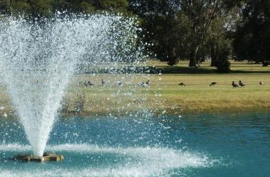 Howlong Country Golf Club & Motel - Accommodation NT 5