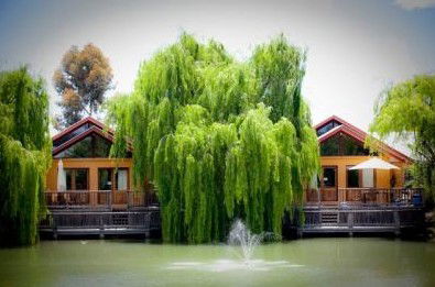 Perricoota Vines Retreat - Accommodation NT 0