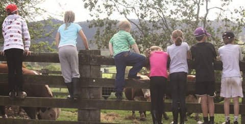 Ashmar Farm Stay - Accommodation NT 4