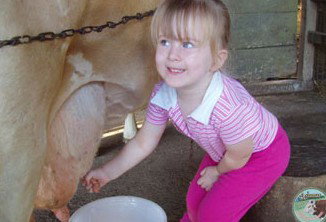 Ashmar Farm Stay - Accommodation NT 5