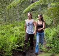 Blackheath Glen Tourist Park - Accommodation NT