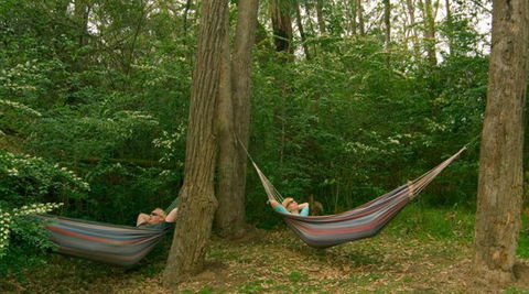 Bingle Tree Retreat - Accommodation NT 1