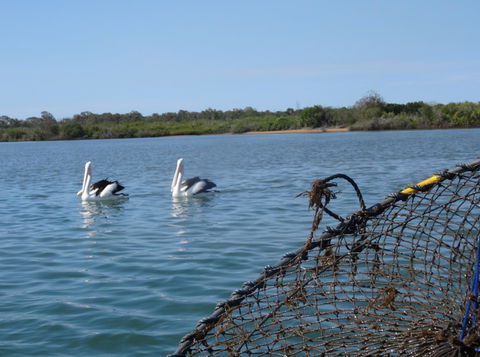 Baffle Retreat Bed And Breakfast - Accommodation NT 5