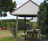 Mango Paradise Bed And Barra - Accommodation NT 1