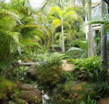 Chamomile Bed and Breakfast - Accommodation NT