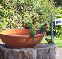 Lamb Island Bed and Breakfast - Accommodation NT