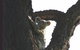 Hillsdale Hideaway Bed And Breakfast - thumb 5