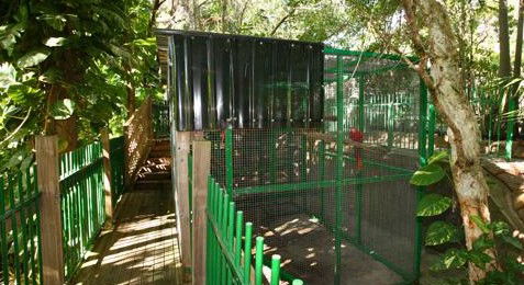 Ashmore Palms Holiday Village - Accommodation NT 3