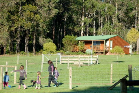 Diamond Forest Farm Stay - Accommodation NT 0