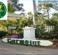 Carmelot Bed  Breakfast - Accommodation NT