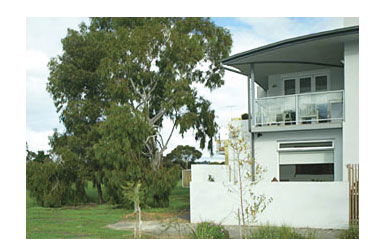 ParkSide Stay - Accommodation NT 0