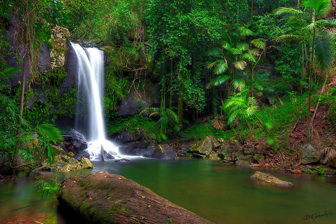Amber Lodge Bed & Breakfast Tamborine Mountain - Accommodation NT 2