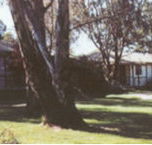 Winbi River Resort - Accommodation NT