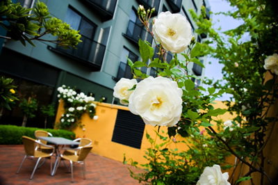 The Old Woolstore Apartment Hotel - Accommodation NT 5