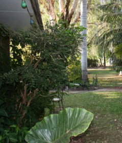 Douglas Daly Holiday Park - Accommodation NT 1