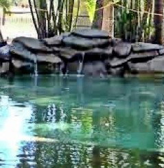 Douglas Daly Holiday Park - Accommodation NT 2